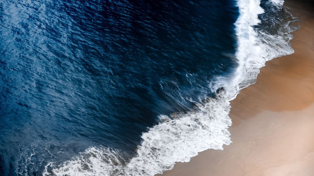 pexels_videos_1409899 (2160p)